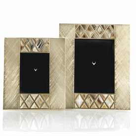 Luxury Custom Made Gold Gilded Brass Photograph Frame * Diamond Horn Jewel Accents * 14 x 12 inches